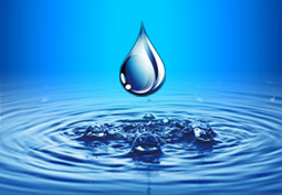 企業(yè)文化[0000-00-00 00:00:00]